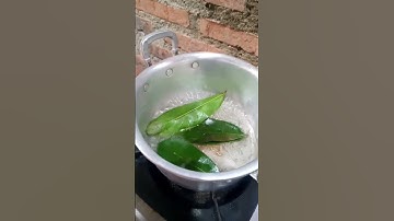 Rahasi4 di balik daun sirsak dan jahe #tips #tipsandtricks #tipssehat #infosehat #lifehacks