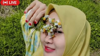 Lagu pakpak Cover Paling Enak Tabahen Pinang