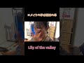 メイクは母 手加減はいらぬ#メイク #メイク動画 #メイクで変身 #リリバリ #リリバリのわちゃわちゃ
