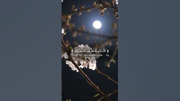 السورة : سورة الحجر 🤍 الآية : 55 🖤 #اللهم_صل_وسلم_على_نبينا_محمد