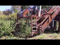 Hemp Harvesting, Processing and Drying Equipment