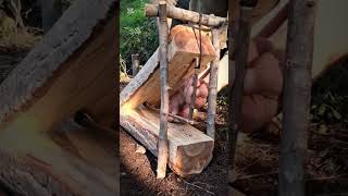 How to make a trap  #survival #wildliferescue #animaltrap #bushcraft #birdtrap #camping #birdcontrol