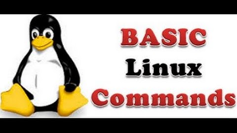 Collection Of Basic Linux Commands