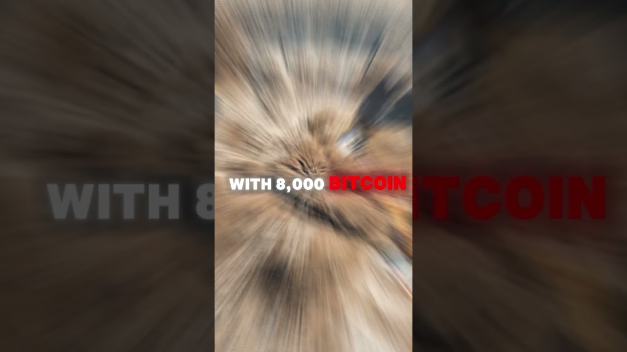 the guy who lost $400M… in the TRASH 🗑️💸