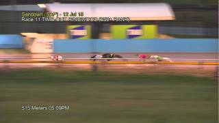 SAP SUN 12 JUL 15 R11