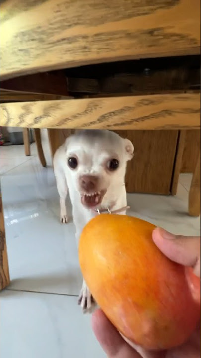 Mango kuchi kuchi🥭