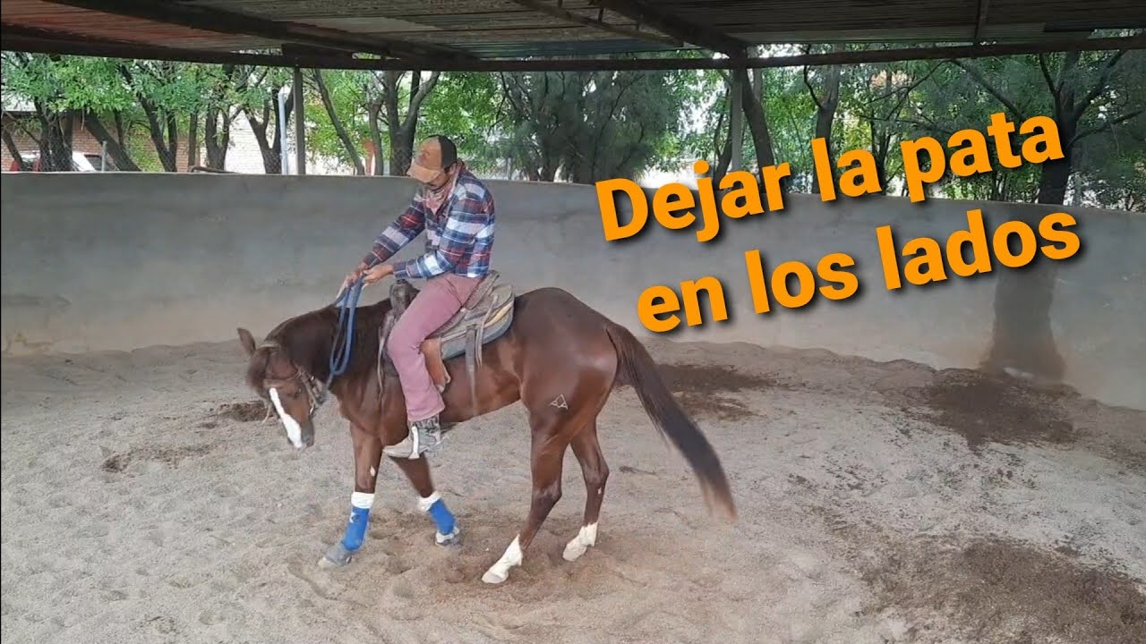 Trabajo para dejar la pata en los lados