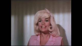The Fat Spy 1966