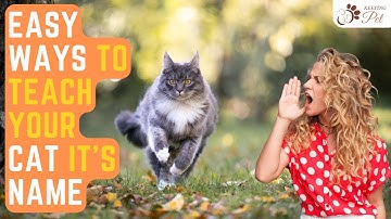 Teaching Your Cat Its Name: 5 Purrfect Ways to Call Your Feline Friend!