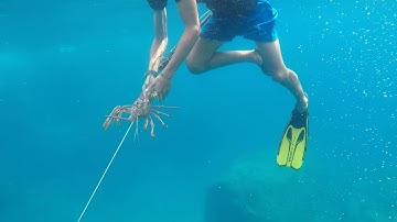 Ontong Java 2021 (Trailer)