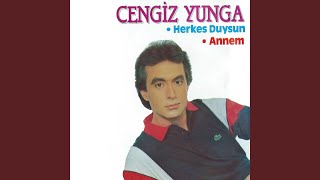 Herkes Duysun