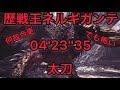 [MHWI] 歴戦王ネルギガンテ 太刀 04'23''35