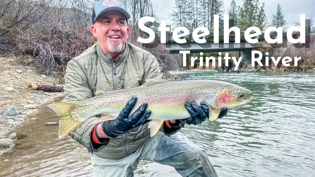 4 Days of Winter Steelhead, Trinity River