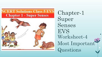Super senses | chapter-1 | class-5 | NCERT|CBSE| Worksheet-4 | most important question with answers