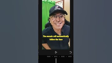 How To Blur Out / Mosaic Someone