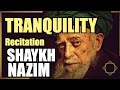 Peace and Tranquility -- Shaykh Nazim -- Salamun Qawlan min Rabbi Rahim (111x Loop)