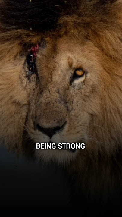 Sigma rule~😈| Attitude Status 😎🔥| Lion king #motivation #viral #shorts