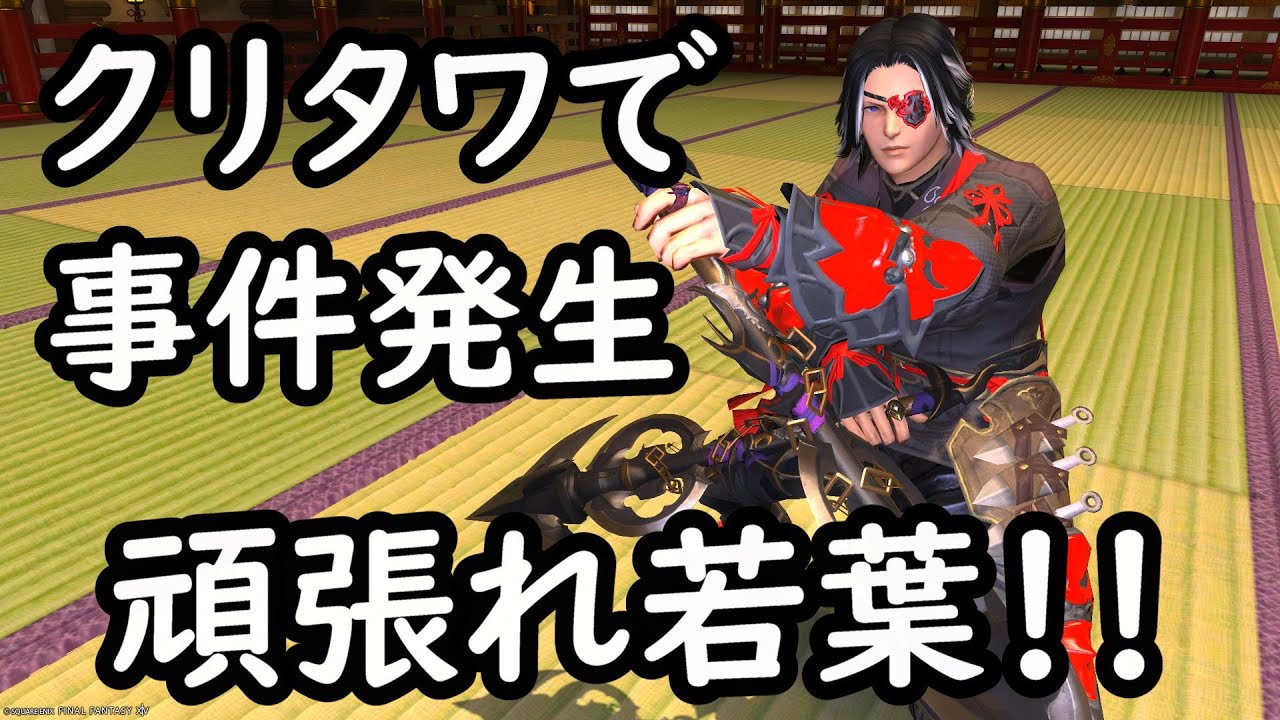 [FF14]若葉を煽る野良プレイヤーは居て当然なのか？偽物現る？