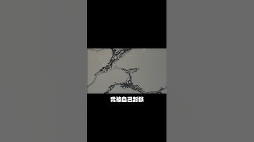 SAD DESGIN QUARTZ CALACATTA KITCHEN COUNTERTOPS 2023