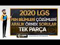 2020 LGS ARALIK ÖRNEK SORULAR FEN BİLİMLERİ Soruları ve Çözümleri | TEK PARÇA
