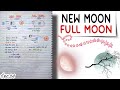 New Moon Full Moon World Geography Handwritten Notes Lec 24 An Aspirant
