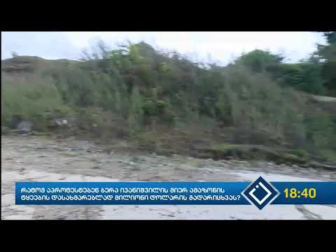 რატომ აპროტესტებენ ბერა ივანიშვილის მიერ ამაზონის ტყეების დასახმარებლად მილიონი დოლარის გადარიცხვას?