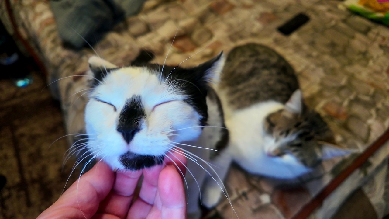 #Славянск. 10 марта 2026г. Вечер. Очередной обстрел города. Погибли люди...