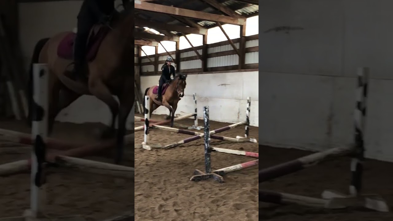 Grid work with remi🐴 