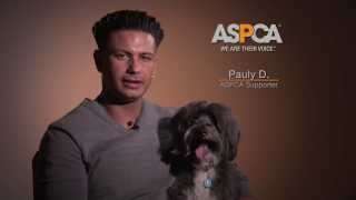Dj Pauly D Joins The Aspca For Adopt A Shelter Dog Month
