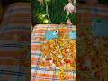 Ratri sayan #krishnaseva #radhakrishna #radha #devotional #radheradhe #trending #shorts