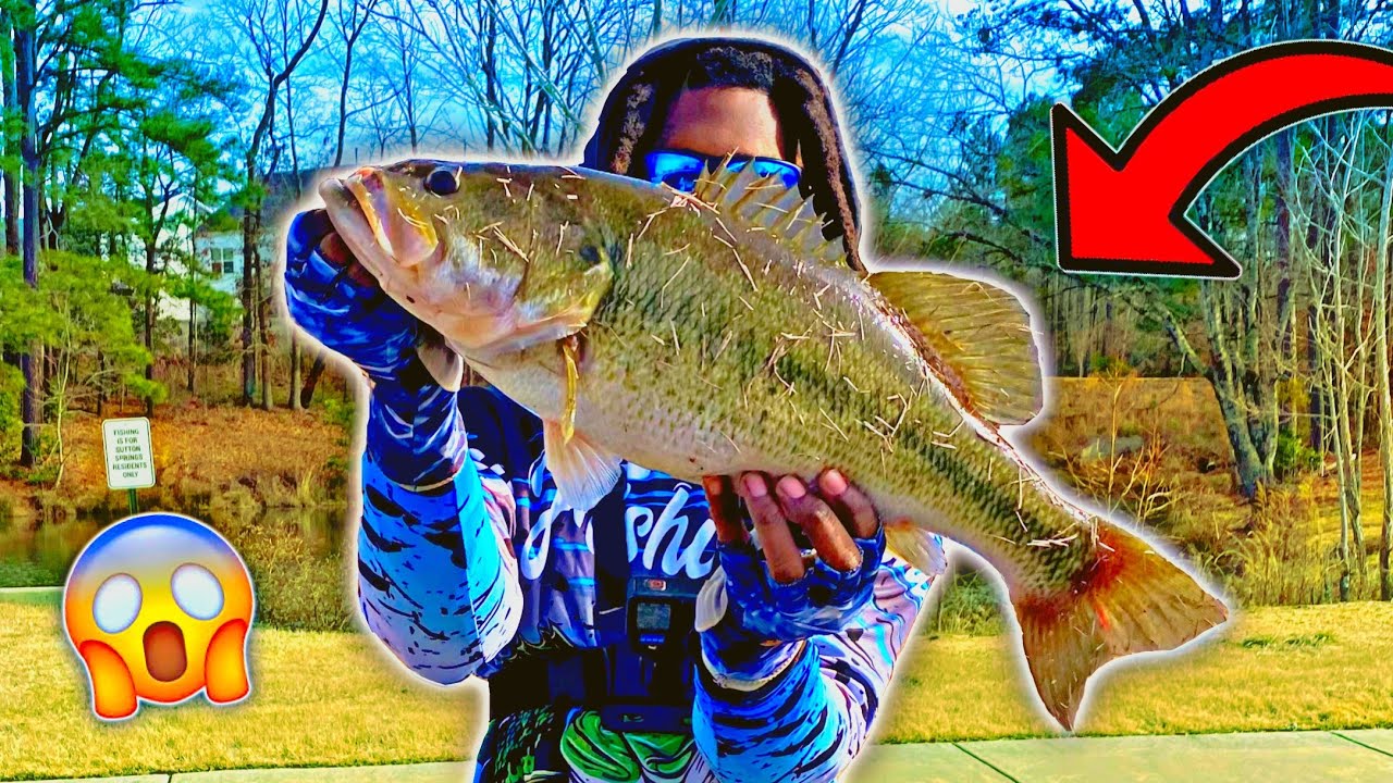🚨PB ALERT🚨2025 NORTH CAROLINA BASS FISHING NEW PRIVATE POND⚠️CAUGHT A HUGE LARGE MOUTH BASS😱