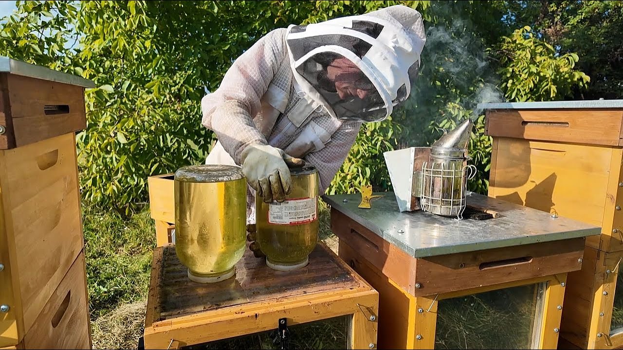 Srpnové krmení včel - jak jsem nakrmila svoje včely před zimou