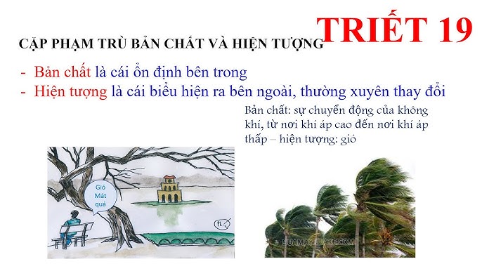 3. Các loại gió phổ biến