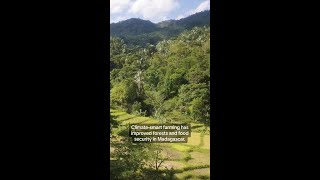 ‘Climate-smart’ farming boosts forests, food security in Madagascar by Conservation International 147 views 9 days ago 1 minute, 3 seconds