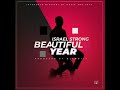 Beautiful Year (Audio) #IsraelStrong