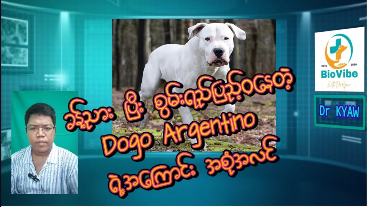 ခန့်ညားပြီး စွမ်းရည်ပြည့်ဝတဲ့ 