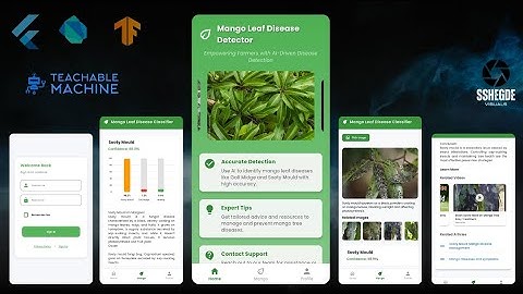 Mango Leaf Disease Detection | Flutter + Teachable Machine + TensorFlow Lite | Image Classification