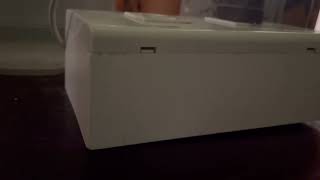 IMG 2778