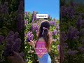 🌷•Canta si sale tu apellido•🌷 [Collab con:@Allison Urbina♡] #fypシ #Giss_aesth💫