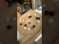 Healing continuous rotating wave marble run wooden series + black and white marbles #marblerun #asmr