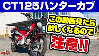 【ハンターカブ】カブの皮を被った狼を丸裸にしました【HONDA CT125スペックや足つき、取り回しなど率直な感想をカブ主が白状インプレ】