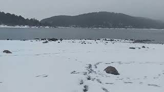 🔴 Nevada espectacular en el Embalse de La Jarosa | Invierno real