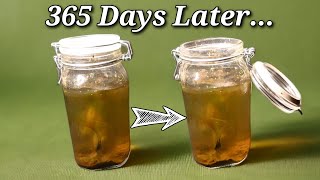 I Opened a Sealed Jar of River Water After 1 Year