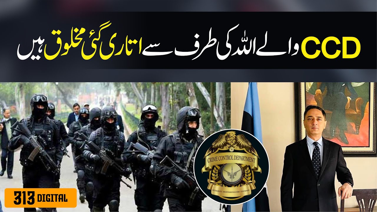 CCD vs Criminals | CCD in Action | CCD Impact on pakistan | The ...