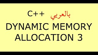 Dynamically Allocated Objects: 1 Net Worth
