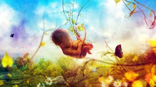 Musik Pengantar Tidur Bayi - Mozart untuk Bayi perkembangan otak , Mozart untuk bayi #relaxingbaby