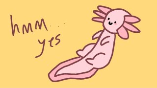 Axolotl :)