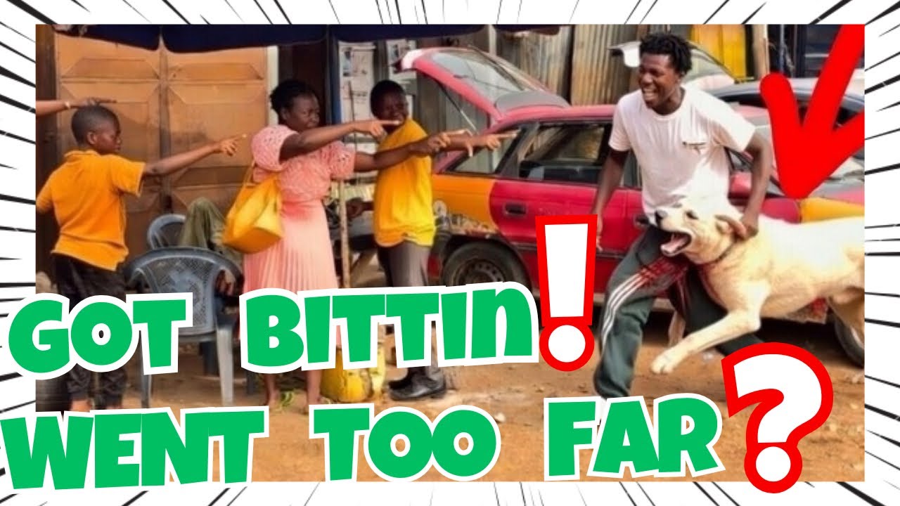 Another Hilarious 🤩 Crazy Prank That Will Make You Laugh All Day | GET READY TO LOL !! 🤣🤣