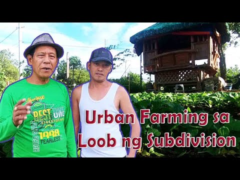 Video: Mga Repleksyon Sa Isang Urban Farm