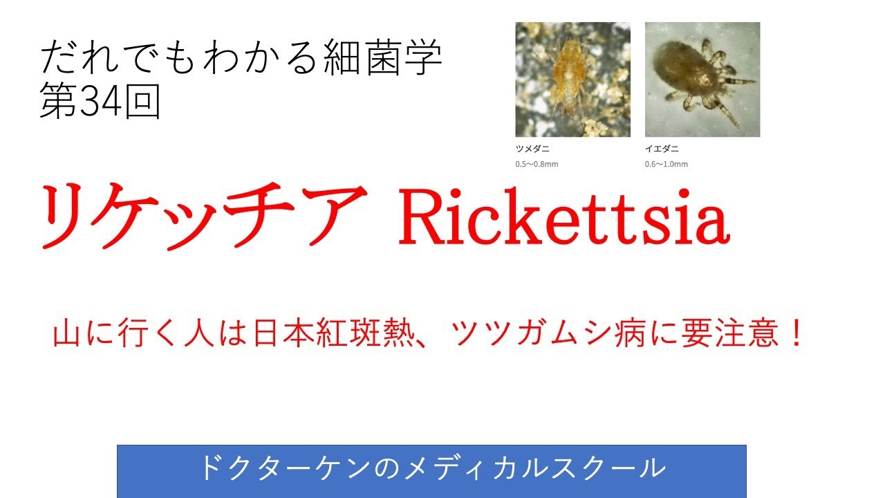 リケッチア